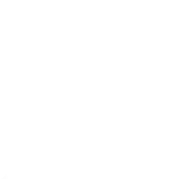 X Icon
